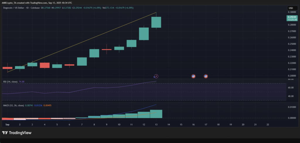 نمودار قیمت دوج کوین در تایم‌فریم روزانه - منبع: TradingView